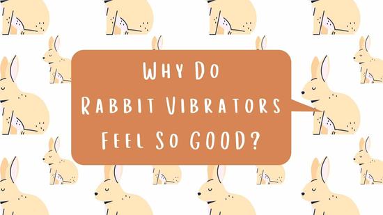 Why Do Rabbit Vibrators Feel Good?