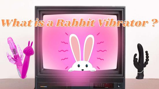 What is a Rabbit Vibrator and why is it Such an Icon?