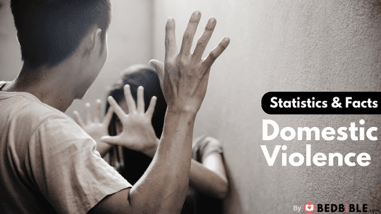 Domestic Violence [Statistics and Facts]