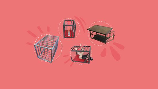 The 5 Best BDSM Cages to Unlock Your Caging Fantasies
