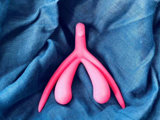 Your Not-So-Average Guide To The Clitoris